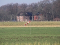 2013_01_12_04.jpg
