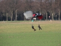 2014_01_19_07.jpg