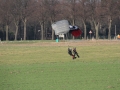 2014_01_19_08.jpg