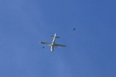 K1024_IMG_7943.1.1