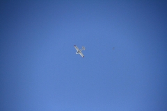 02_K1600_IMG_6234.1