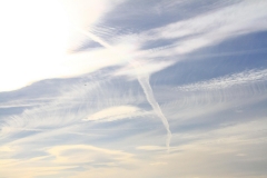 05_K1600_IMG_6311.1