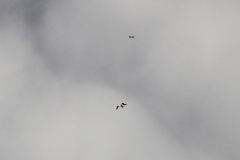 09_K1600_IMG_6322.1.1