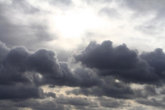 13_K1024_IMG_5964.1