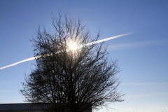 13_K1600_IMG_6127.1