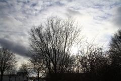 15_K1024_IMG_5966.1