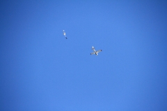 16_K1600_IMG_6165.1