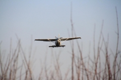 37_K1024_IMG_5918.1