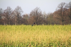 46_K1024_IMG_5936.1