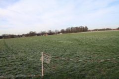 K1024_IMG_1937.1