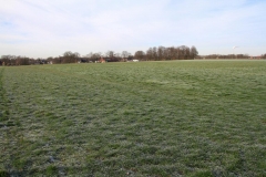 K1024_IMG_1939.1