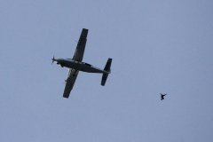 K1024_IMG_2010.1.1