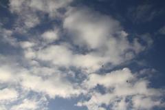 K1024_IMG_0079.1