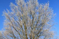 K1024_IMG_9694.1