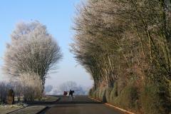 K1024_IMG_9695.1