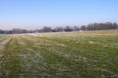 K1024_IMG_9716.1
