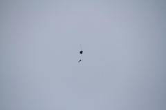 K1024_IMG_9898.1