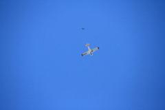 K1024_IMG_9949.1