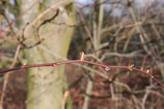 K1024_IMG_9978.1
