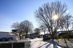 K1024_IMG_9378.1