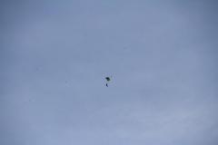K1024_IMG_9462.1