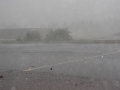 2010_07_03_19.jpg