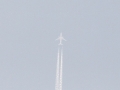 2010_07_04_06.jpg
