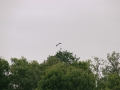 2011_07_03_08.jpg