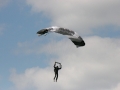 2012_07_22_18.jpg
