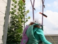 2012_07_29_06.jpg