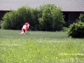 2013_07_06_32.jpg