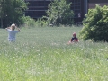 2013_07_06_33.jpg