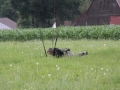2013_07_13_19.jpg
