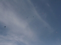 2013_07_27_27.jpg