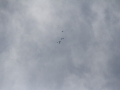 2013_07_28_10.jpg