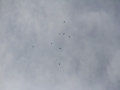2013_07_28_11.jpg