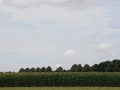 2013_07_28_17.jpg
