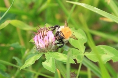 08_K1024_IMG_1438.1.1