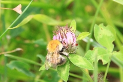 09_K1024_IMG_1439.1.1