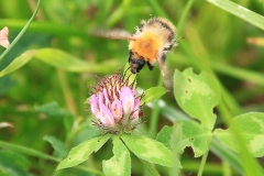 10_K1024_IMG_1440.1.1