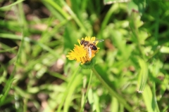 18_K1024_IMG_0969.1