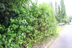 24_K1024_IMG_1458.1