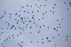 02_K1024_IMG_8788.1