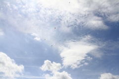 15_K1024_IMG_9699.1