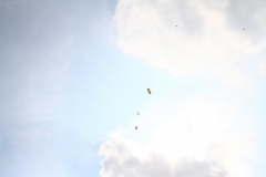 18_K1024_IMG_8828.1