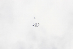 20_K1024_IMG_9823.1.1