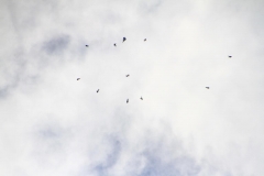 23_K1024_IMG_9826.1