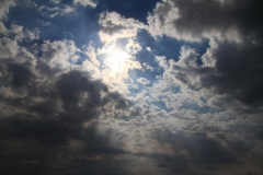 14_K1024_IMG_7297.1