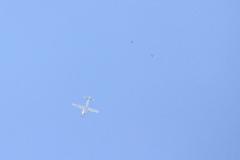K1024_IMG_6501.1.1