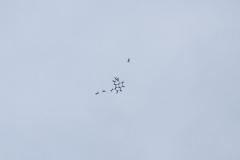 K1024_IMG_2328.1.1